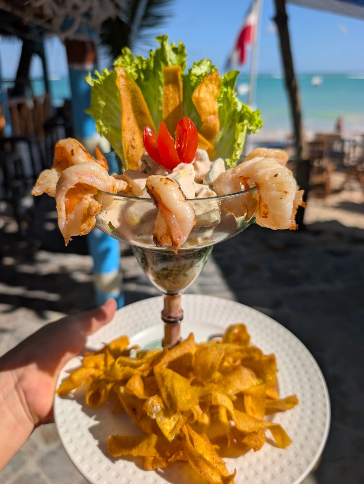 Plato del restaurante