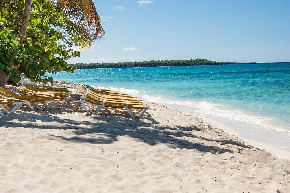 Excursión Isla Catalina