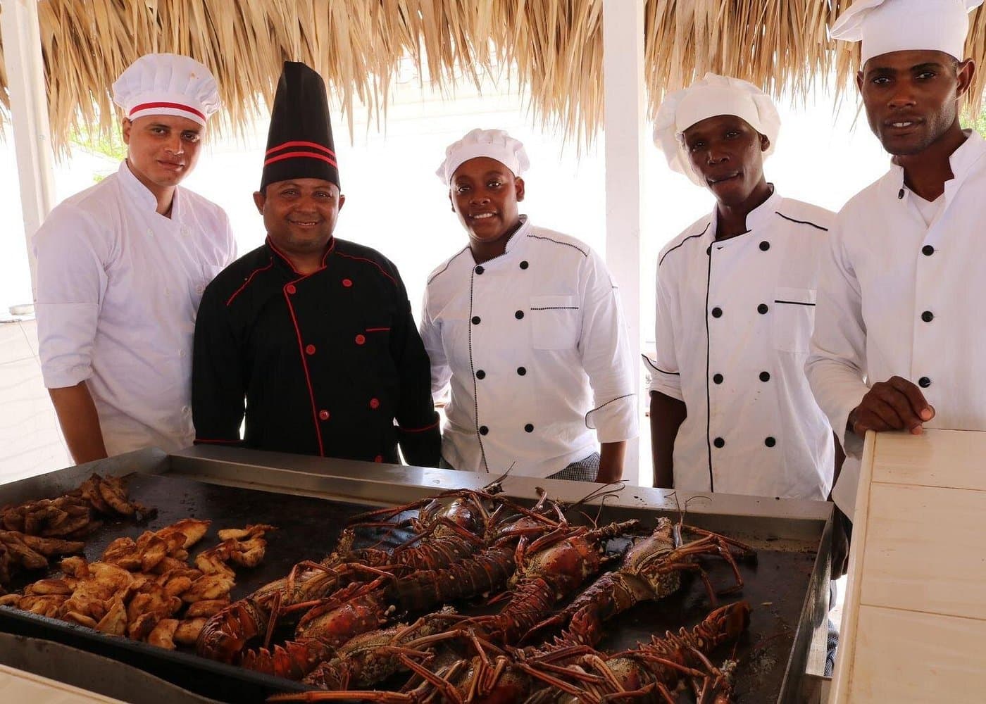 Excursión Isla Catalina miniatura 3
